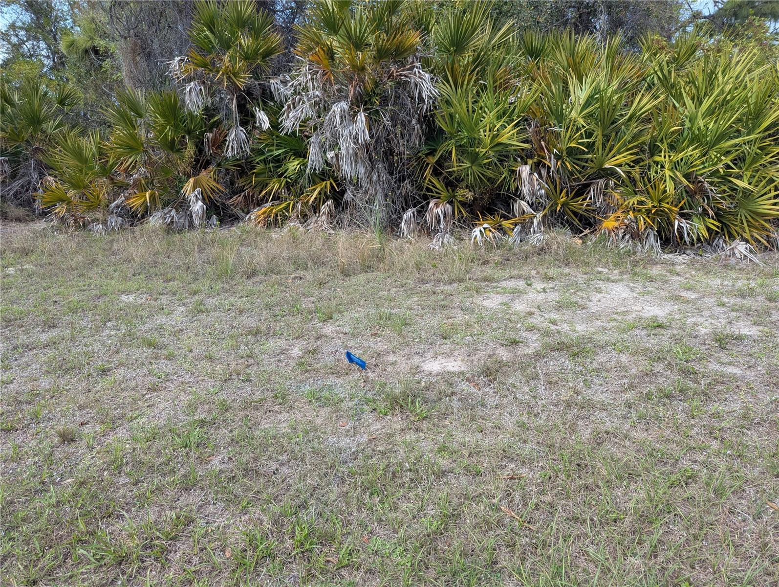 516 SUNSET RD N, ROTONDA WEST, FL — photo 3
