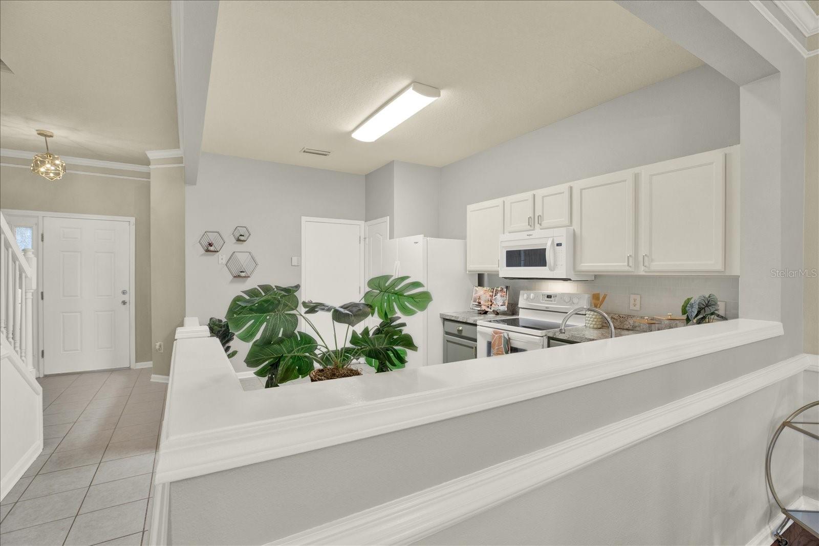 2733 CONCH HOLLOW DR, BRANDON, FL — photo 3