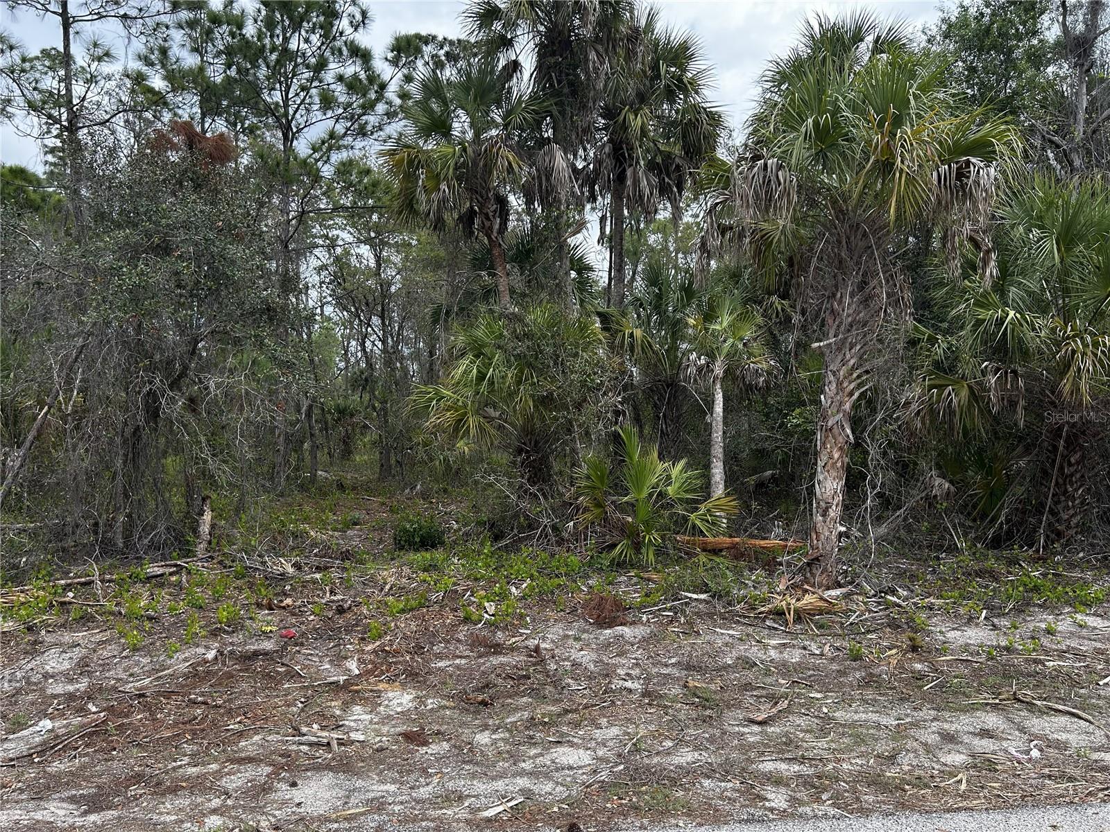 17436 IAGO AVE, PORT CHARLOTTE, FL — photo 2