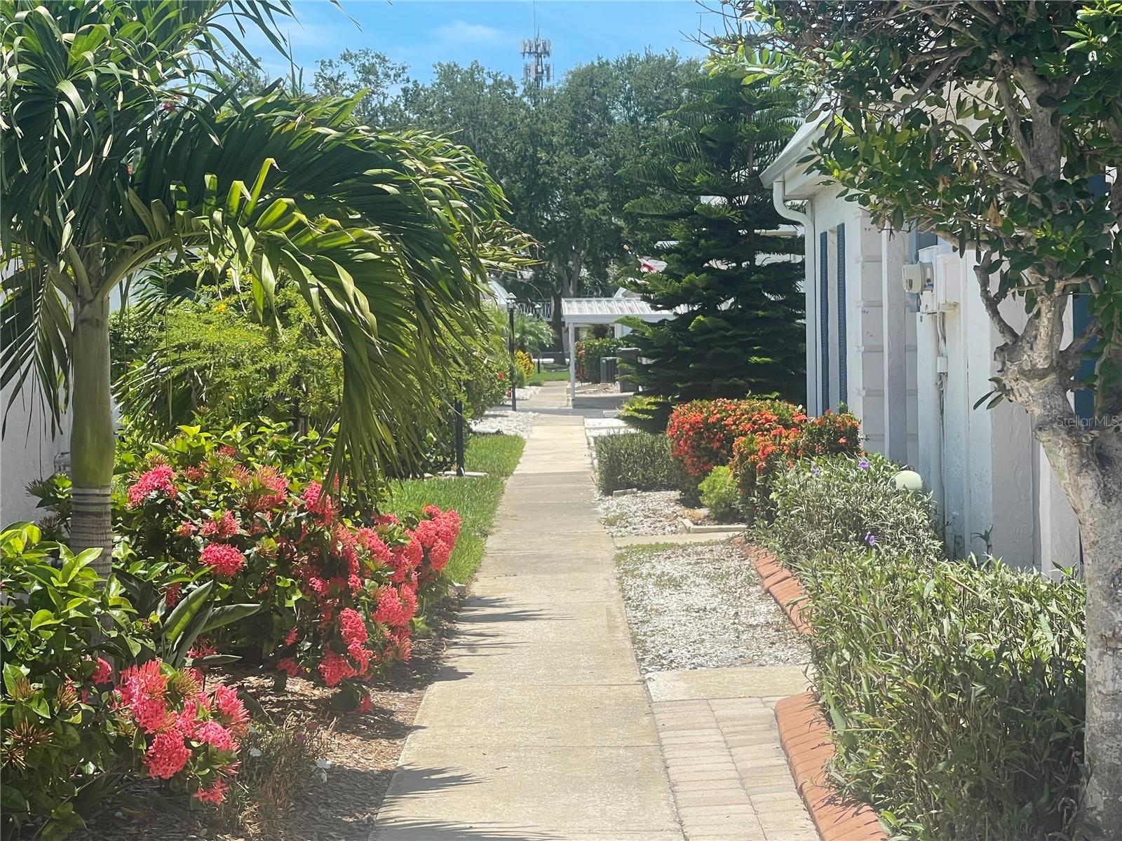 9819 HERNANDO CT #29-A, BRADENTON, FL — photo 5