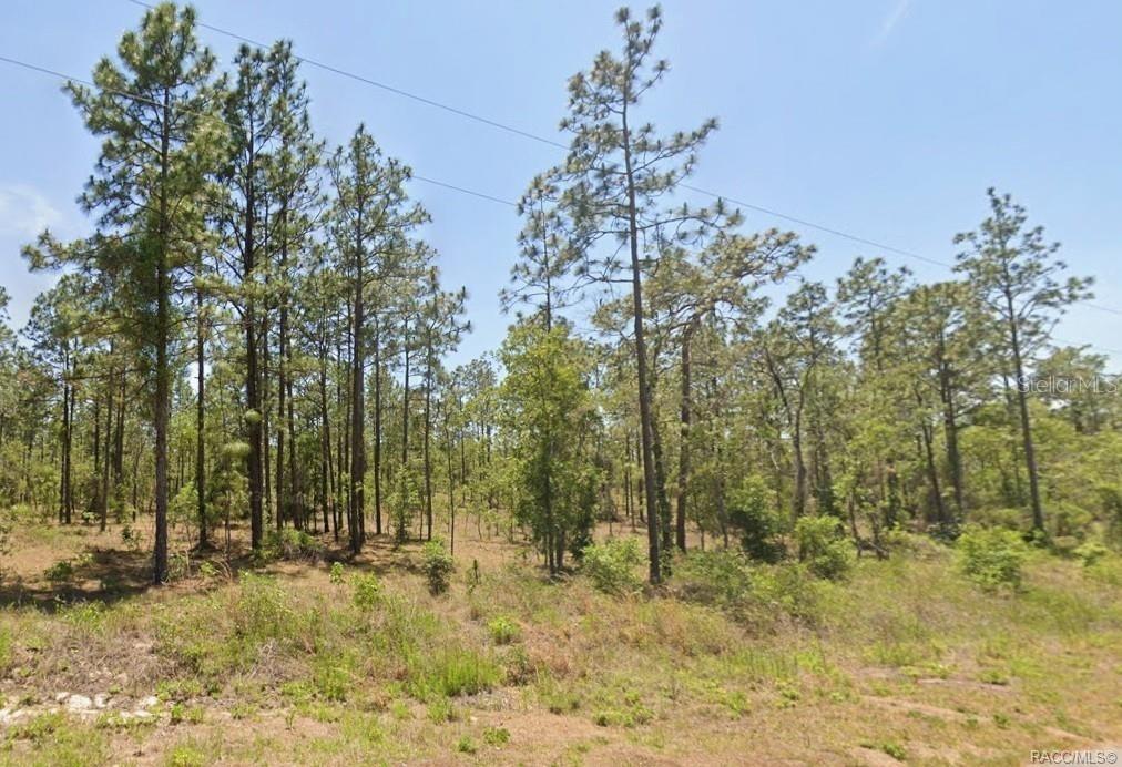 0 NW WATER OAK #5, DUNNELLON, FL