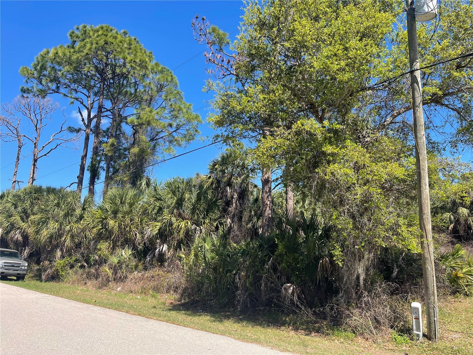 Lot 17 ALLEGHENY LN, NORTH PORT, FL