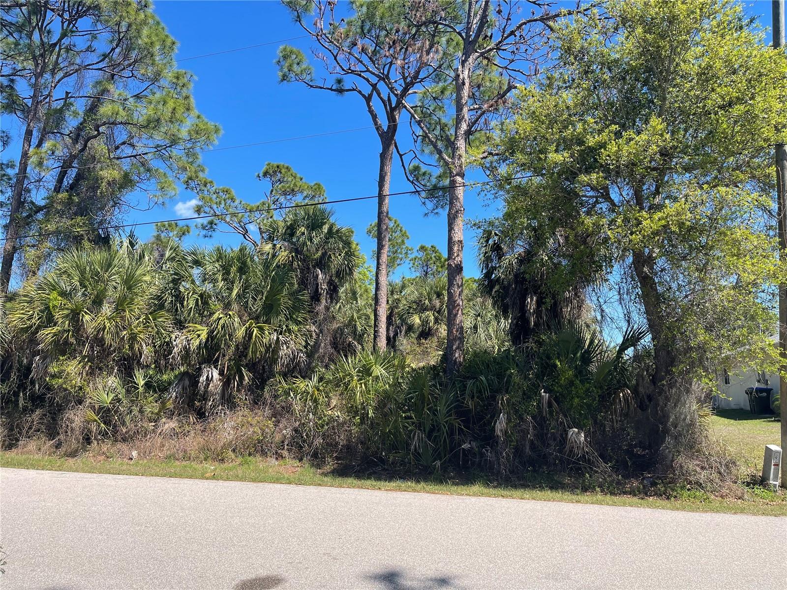 Lot 17 ALLEGHENY LN, NORTH PORT, FL — photo 2