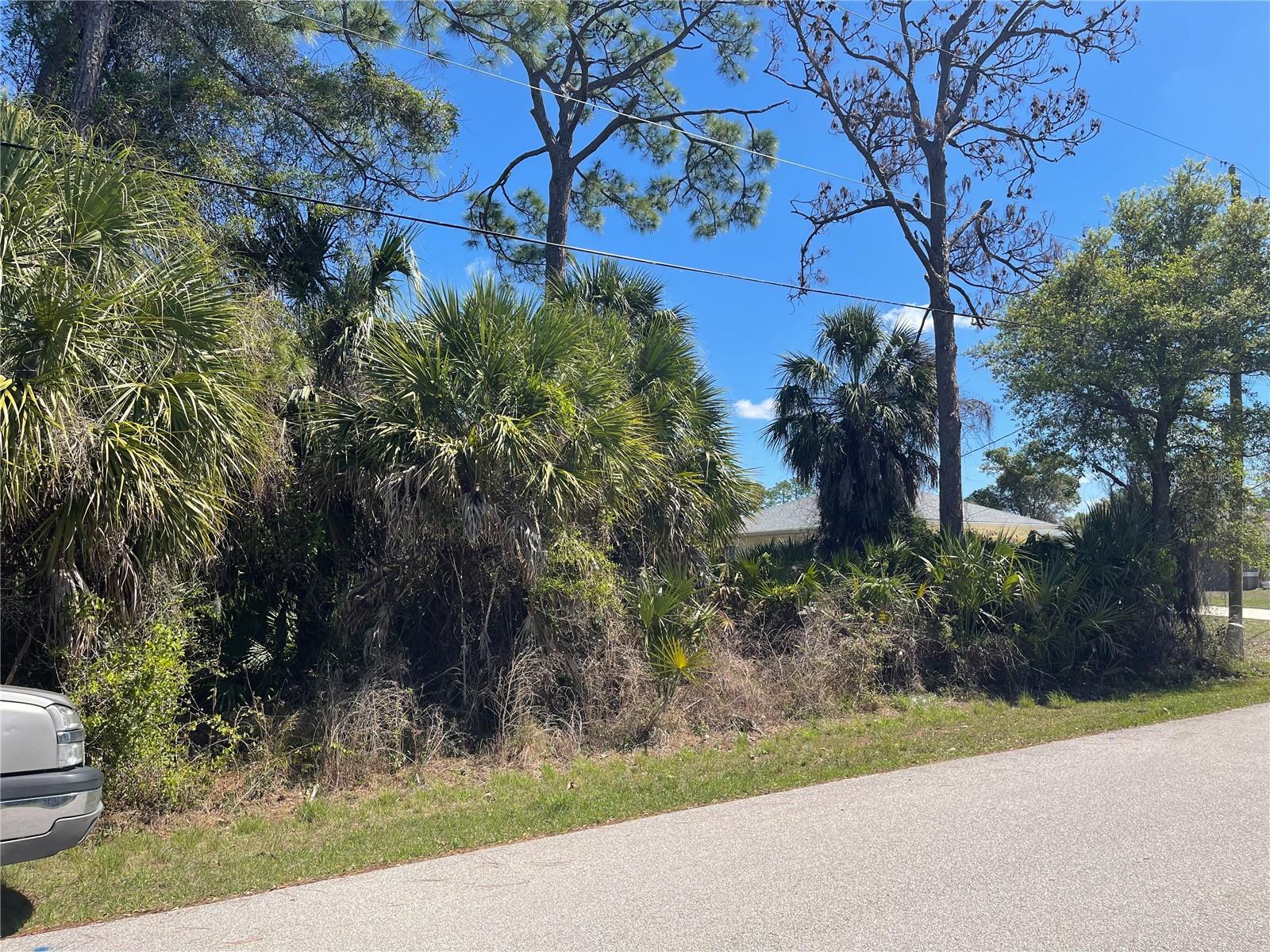 Lot 17 ALLEGHENY LN, NORTH PORT, FL — photo 3