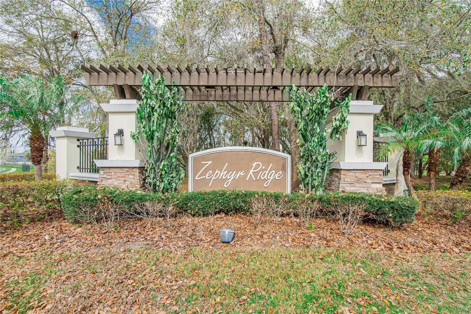 35716 HILLBROOK AVE, ZEPHYRHILLS, FL — photo 55