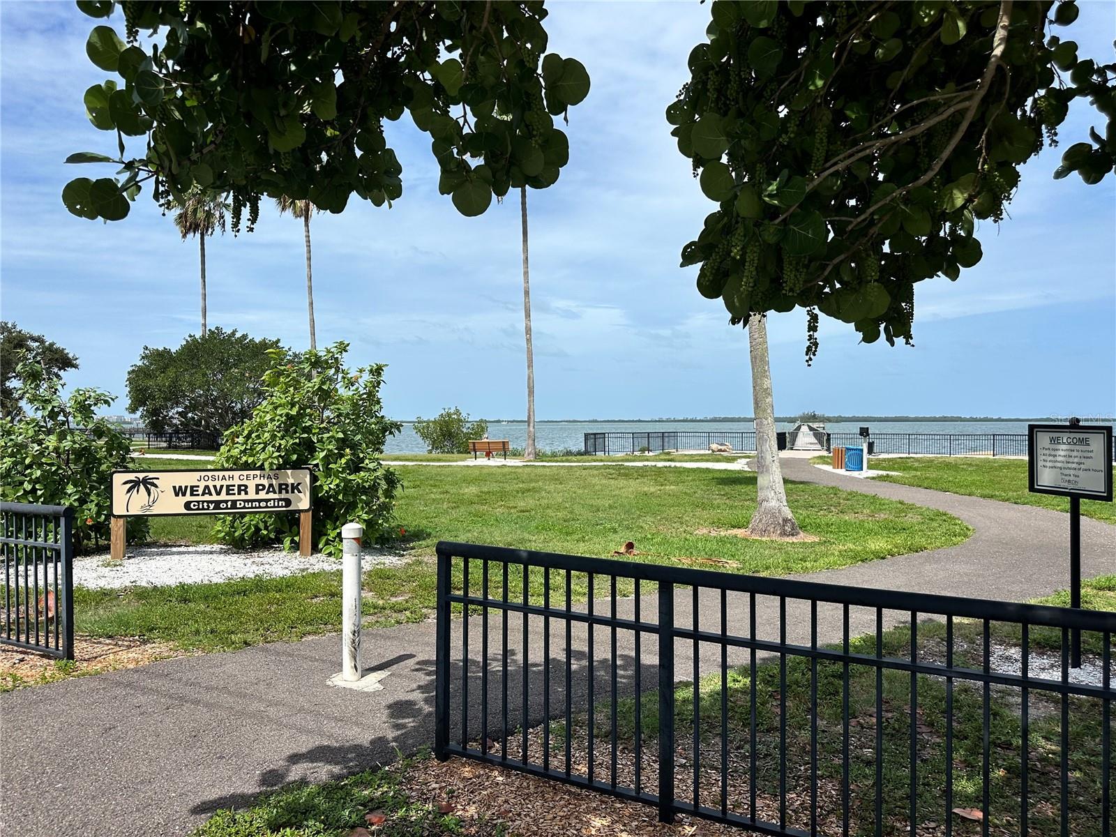 2287 CAROLYN DR, DUNEDIN, FL — photo 42