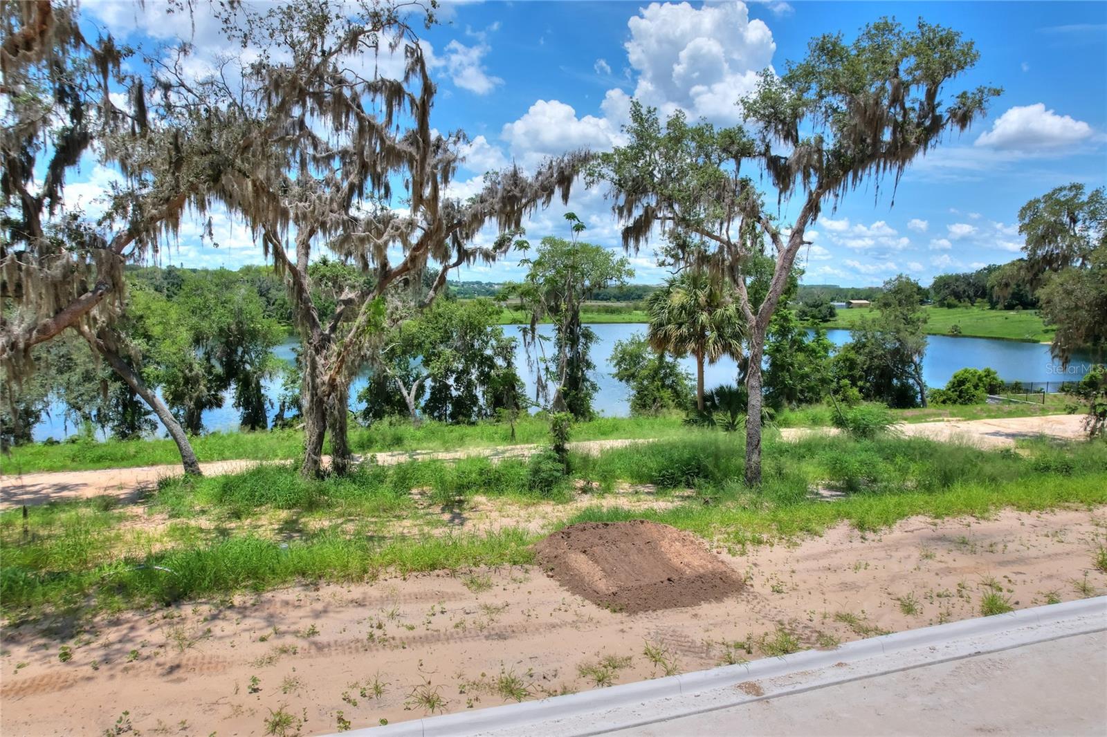 161 TRANQUIL MIRROR LAKE CT #Lot 9, CLERMONT, FL — photo 25