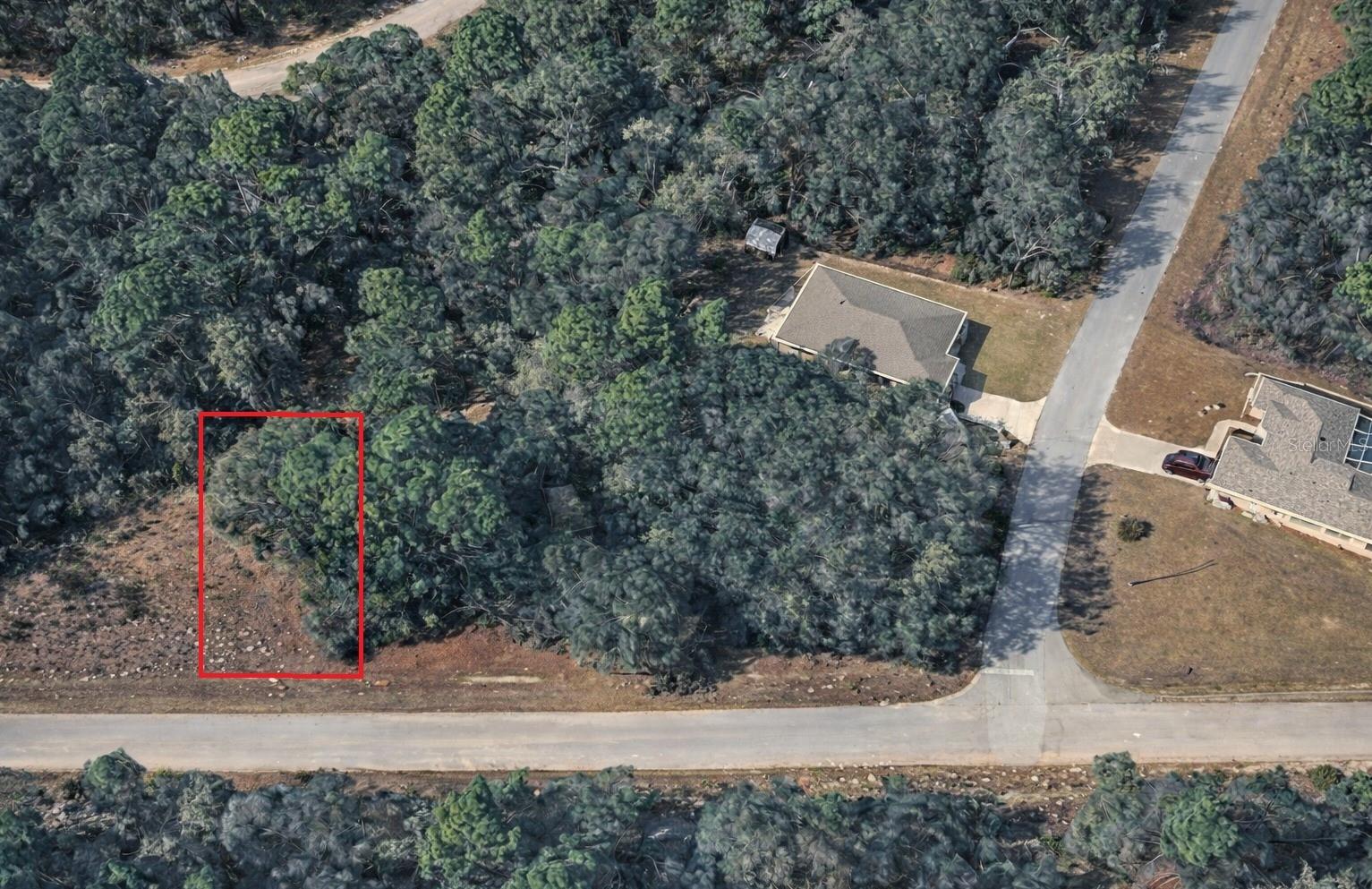 11328 N CATHY TER, DUNNELLON, FL — photo 2