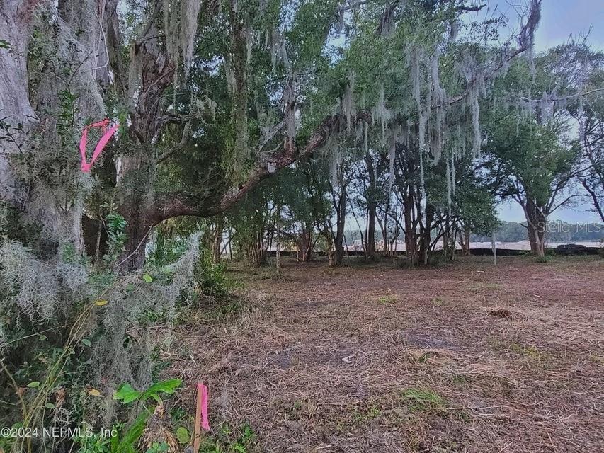 1250 HUNTINGTON RD, CRESCENT CITY, FL — photo 4