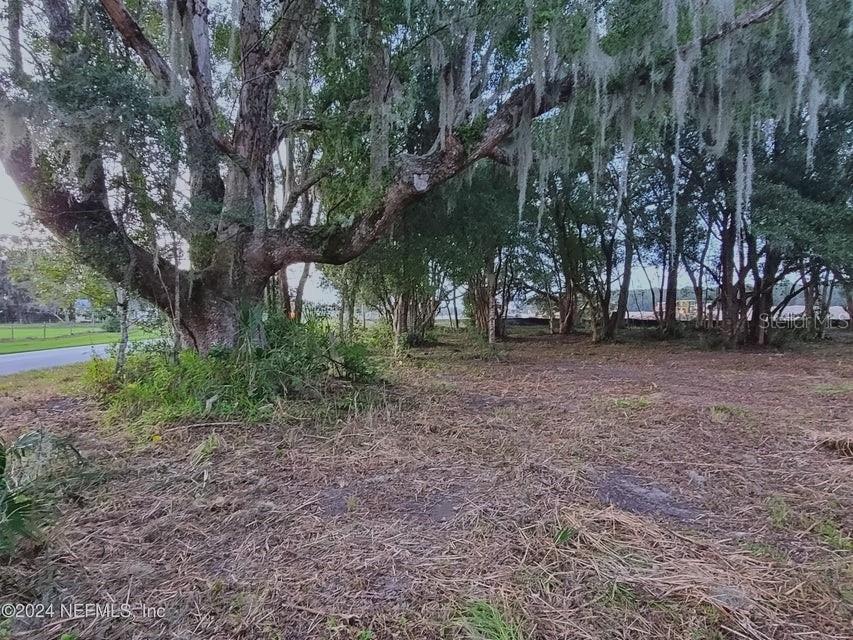 1250 HUNTINGTON RD, CRESCENT CITY, FL — photo 5