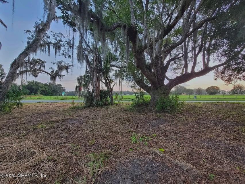 1250 HUNTINGTON RD, CRESCENT CITY, FL — photo 7