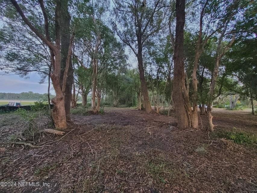 1250 HUNTINGTON RD, CRESCENT CITY, FL — photo 9