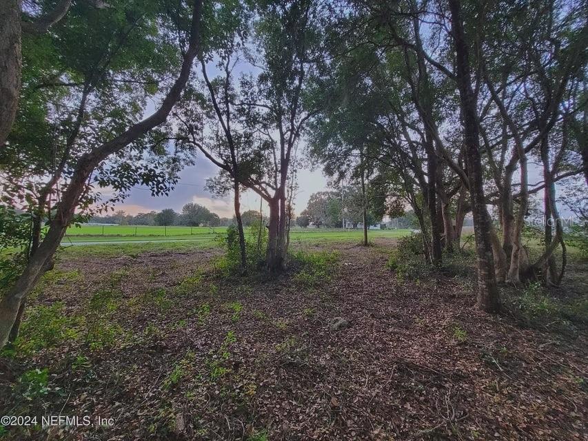 1250 HUNTINGTON RD, CRESCENT CITY, FL — photo 10