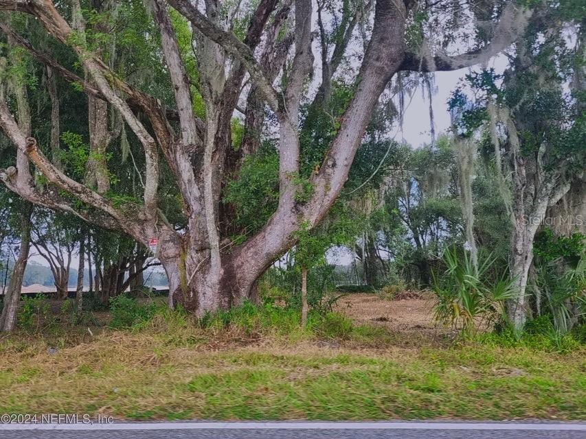 1250 HUNTINGTON RD, CRESCENT CITY, FL — photo 15