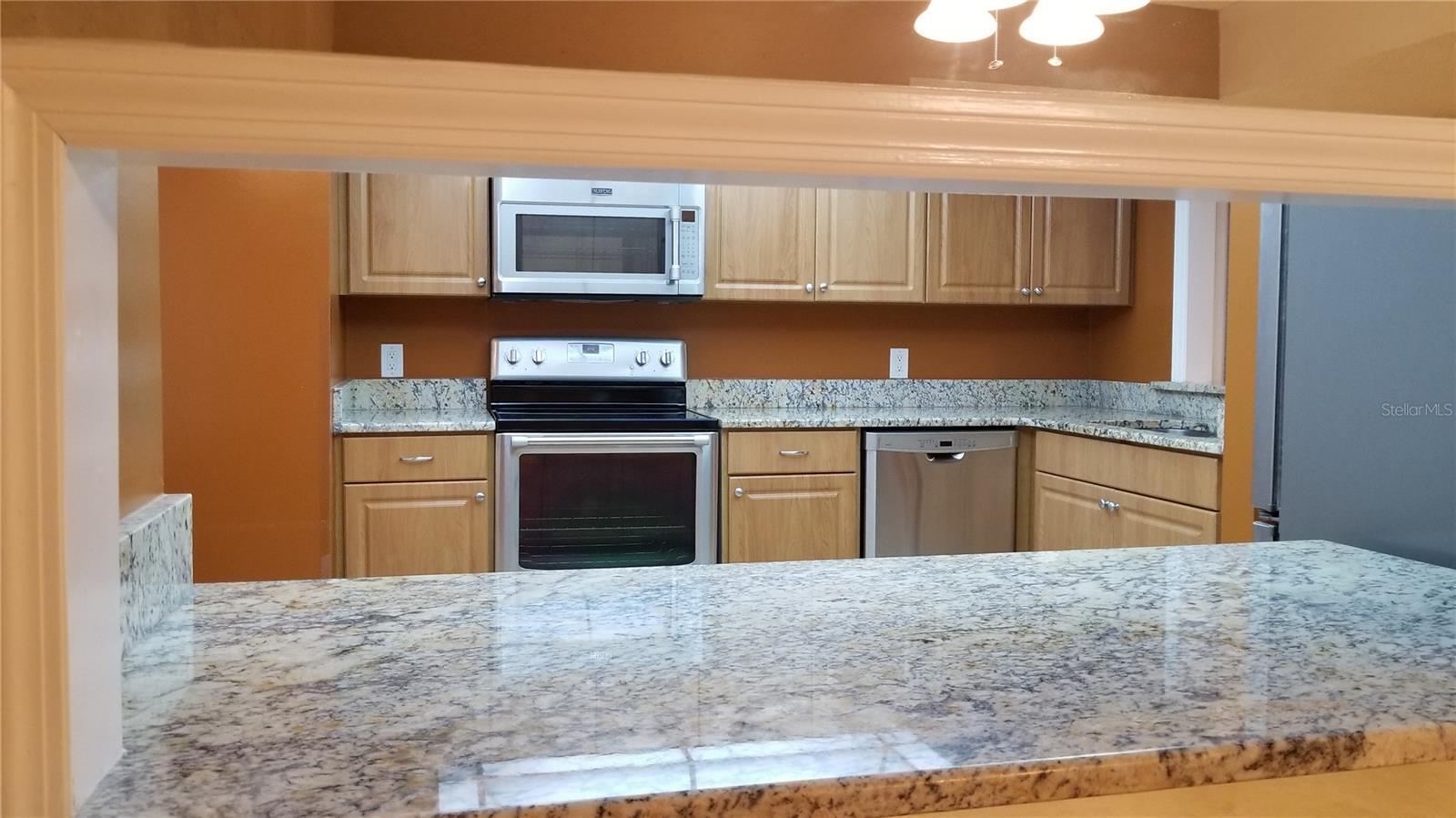 104 OLD MILL POND RD, PALM HARBOR, FL — photo 13