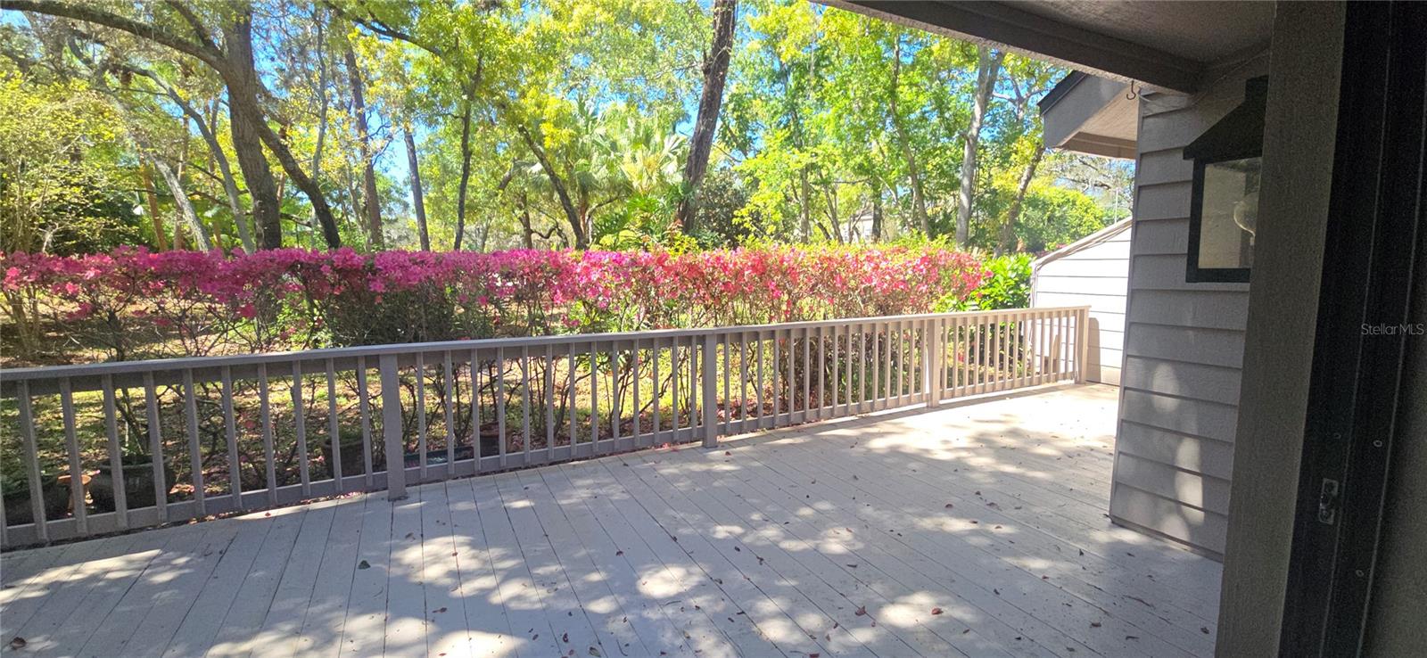 104 OLD MILL POND RD, PALM HARBOR, FL — photo 22