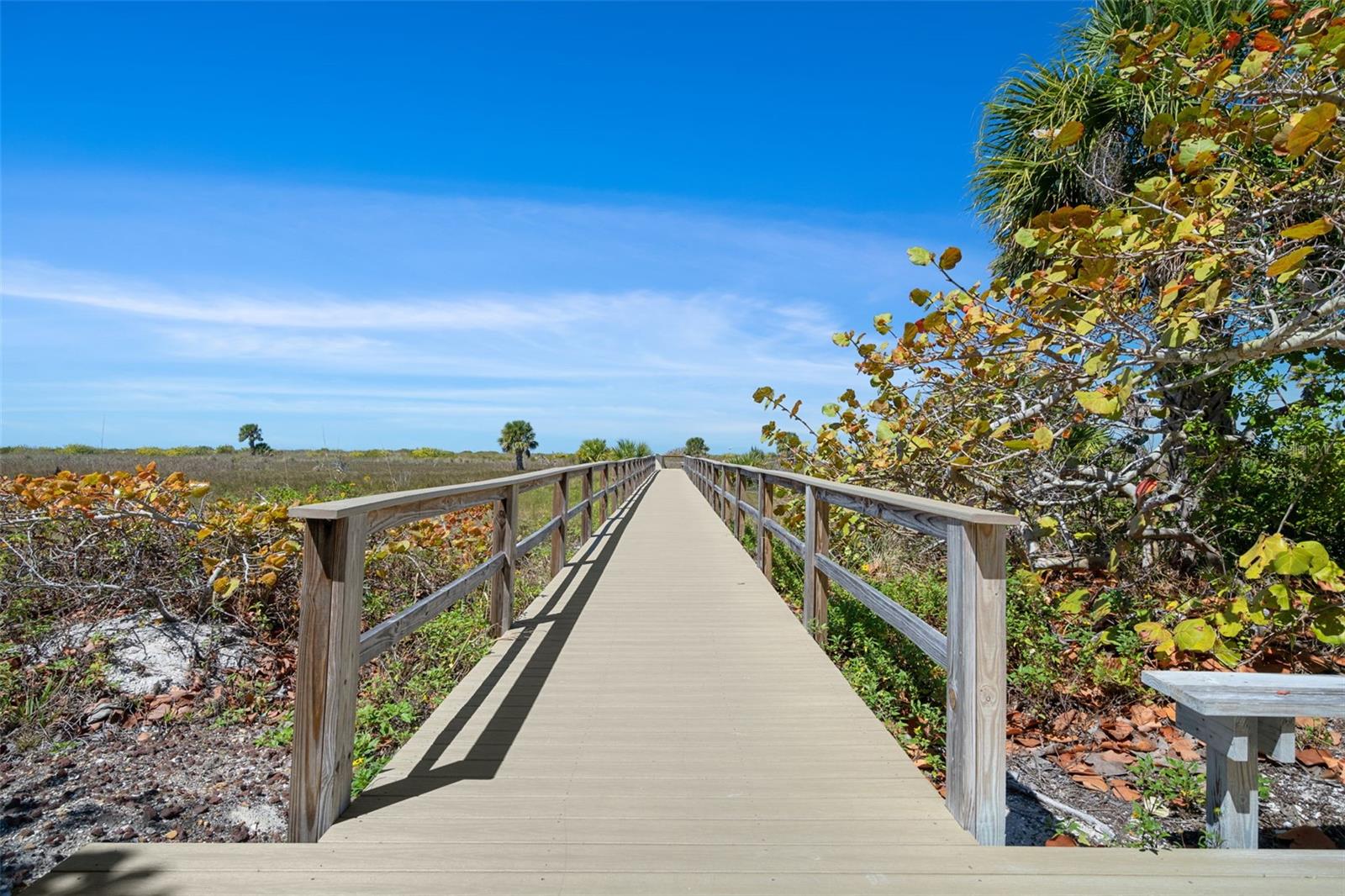 1230 GULF BLVD #303, CLEARWATER BEACH, FL — photo 41