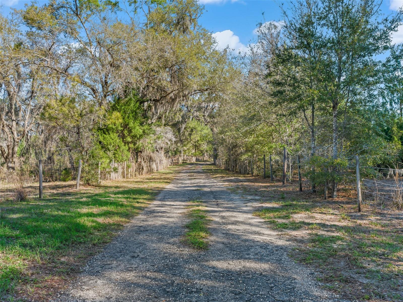 6350 NE 86TH AVE, BRONSON, FL — photo 4