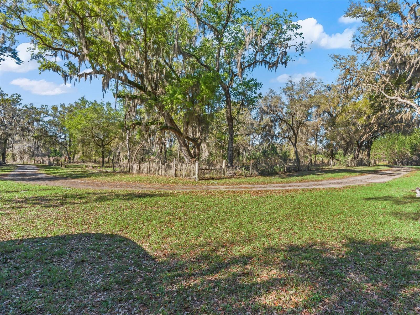 6350 NE 86TH AVE, BRONSON, FL — photo 5