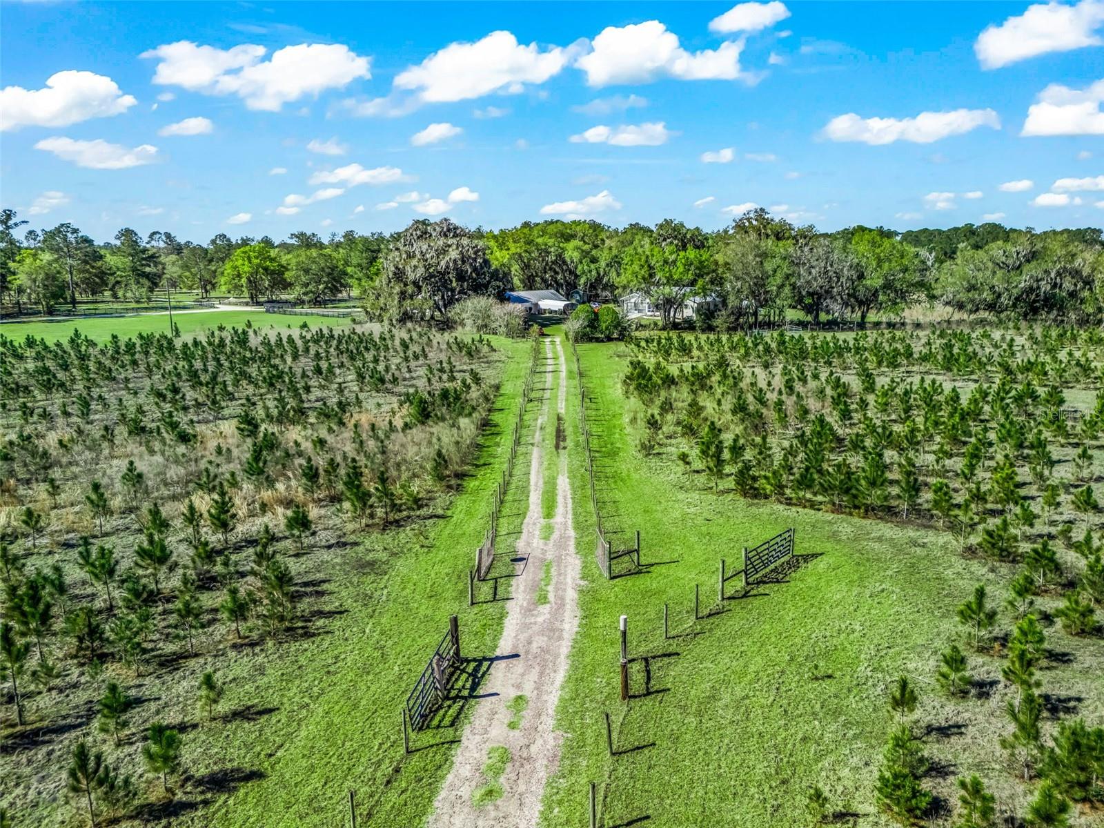 6350 NE 86TH AVE, BRONSON, FL — photo 6