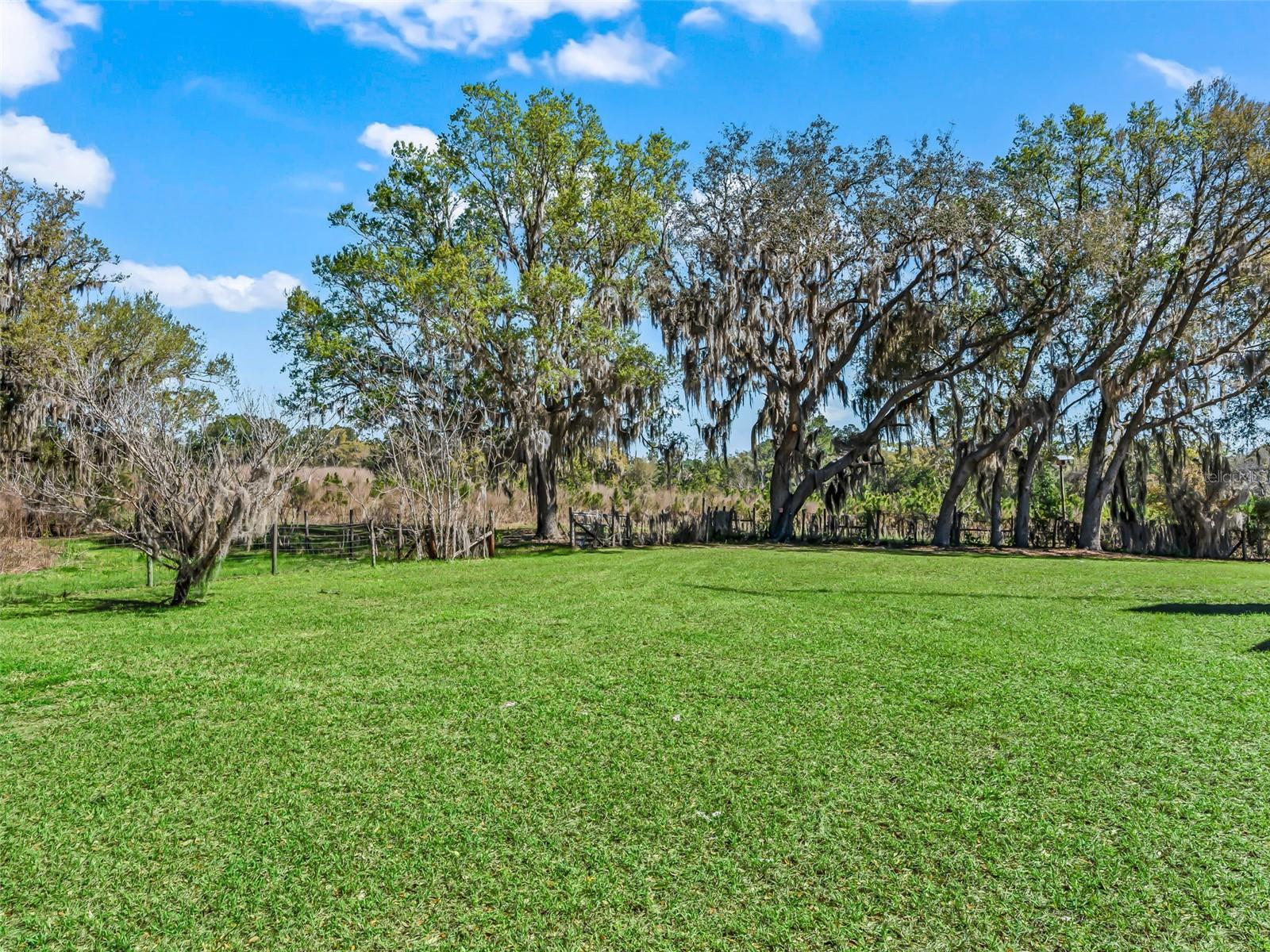 6350 NE 86TH AVE, BRONSON, FL — photo 73