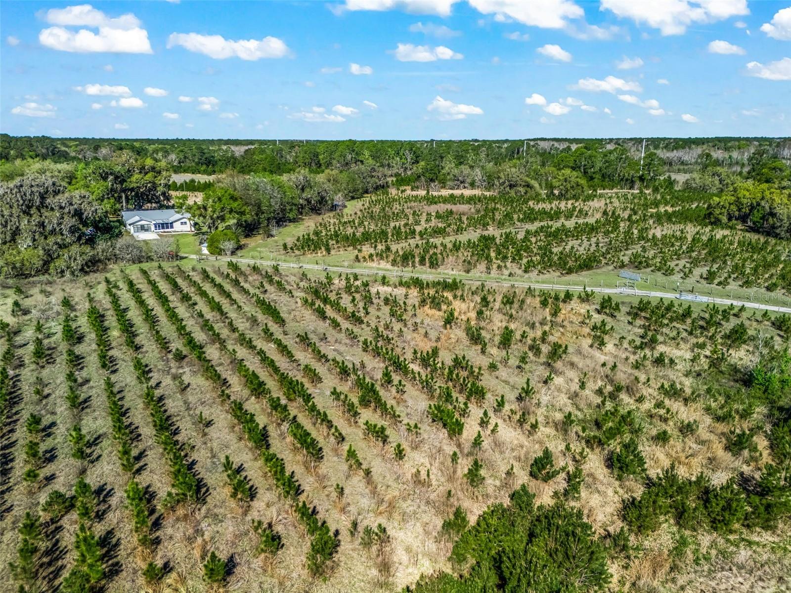 6350 NE 86TH AVE, BRONSON, FL — photo 84