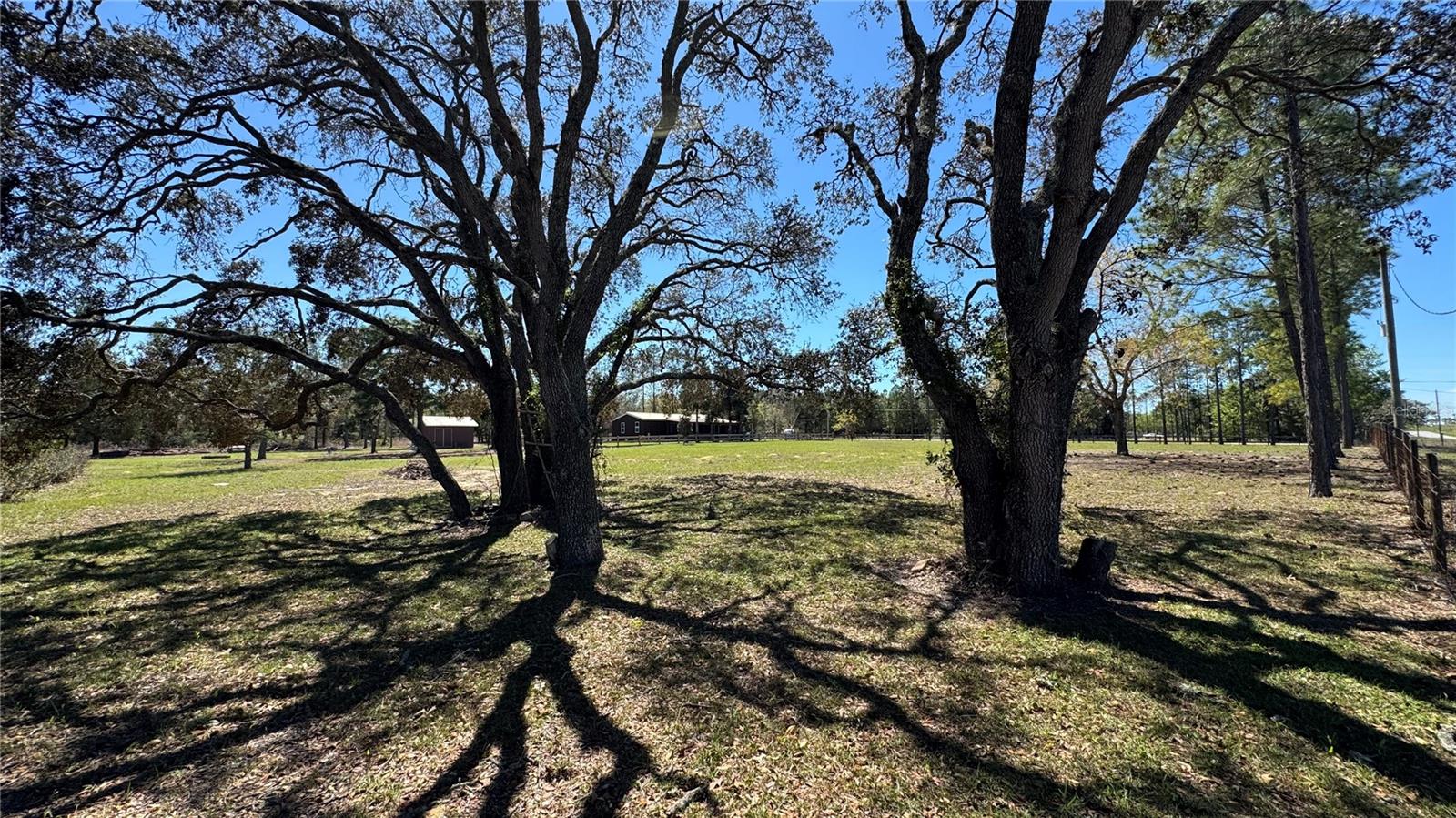 6845 S SUNNYVIEW PT, HOMOSASSA, FL — photo 4