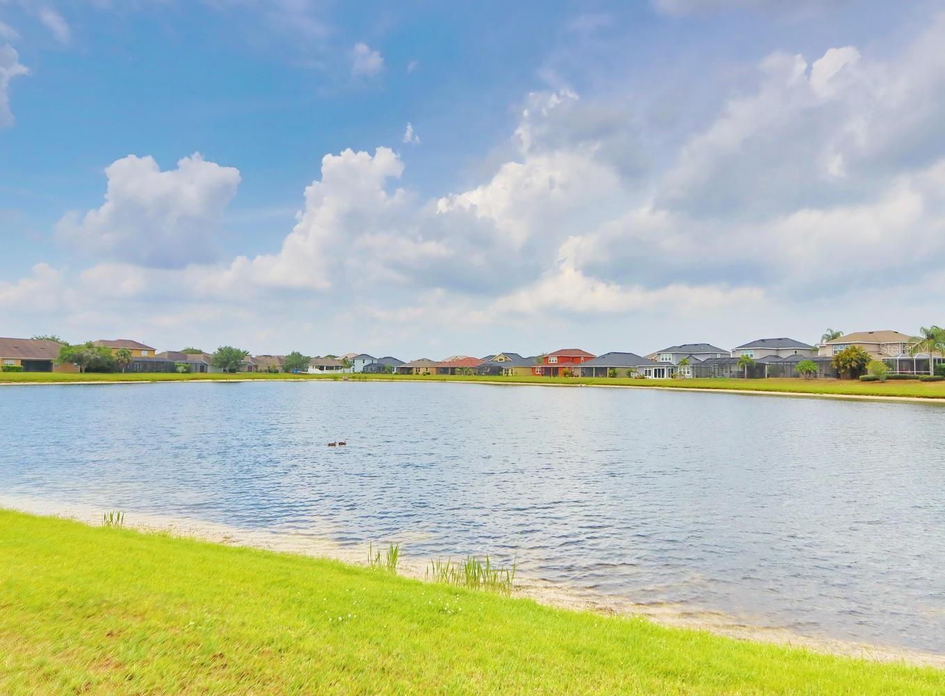 13714 ARTESA BELL DR, RIVERVIEW, FL — photo 29