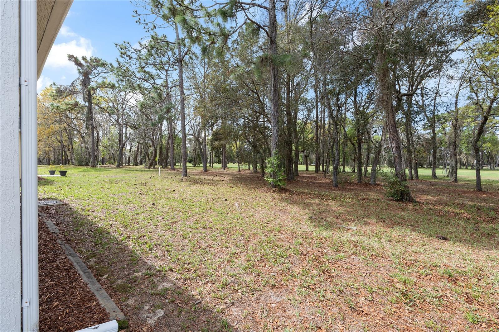 11719 SW 72ND CIR, OCALA, FL — photo 42