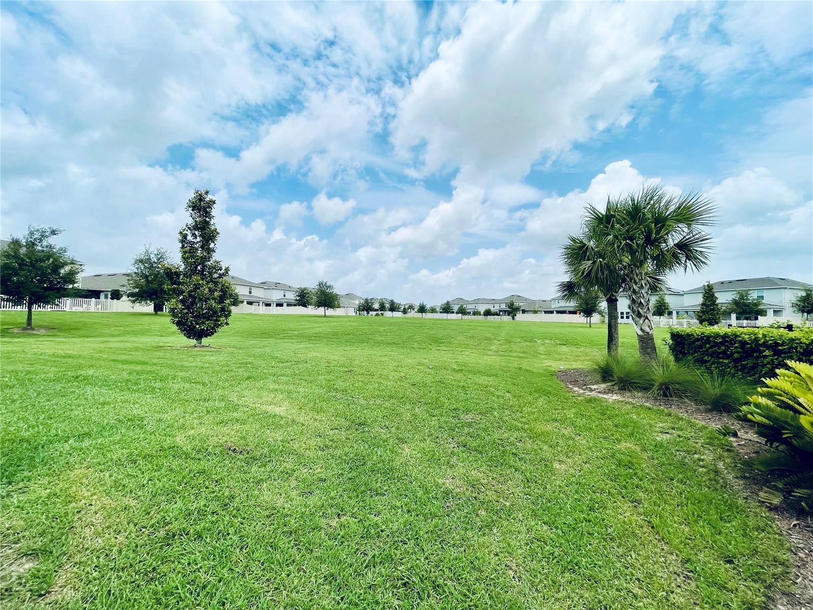 383 LEMONGRASS RD, MINNEOLA, FL — photo 14