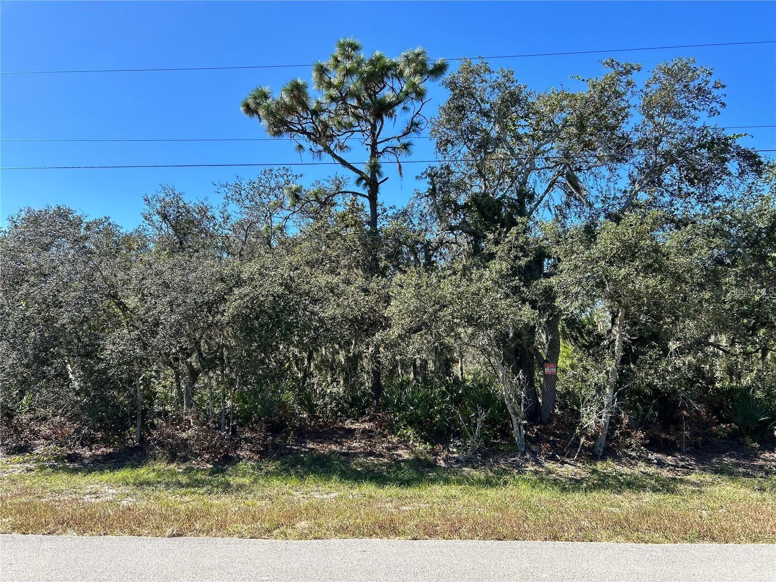 WOODSTORK WAY, FROSTPROOF, FL — photo 7