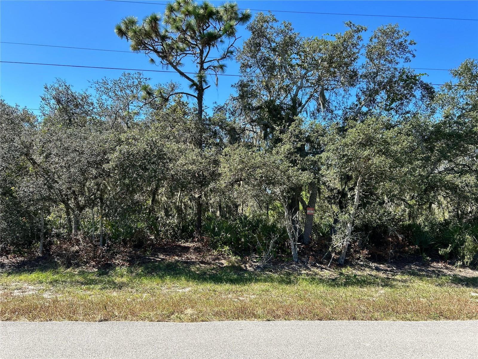 WOODSTORK WAY, FROSTPROOF, FL — photo 11