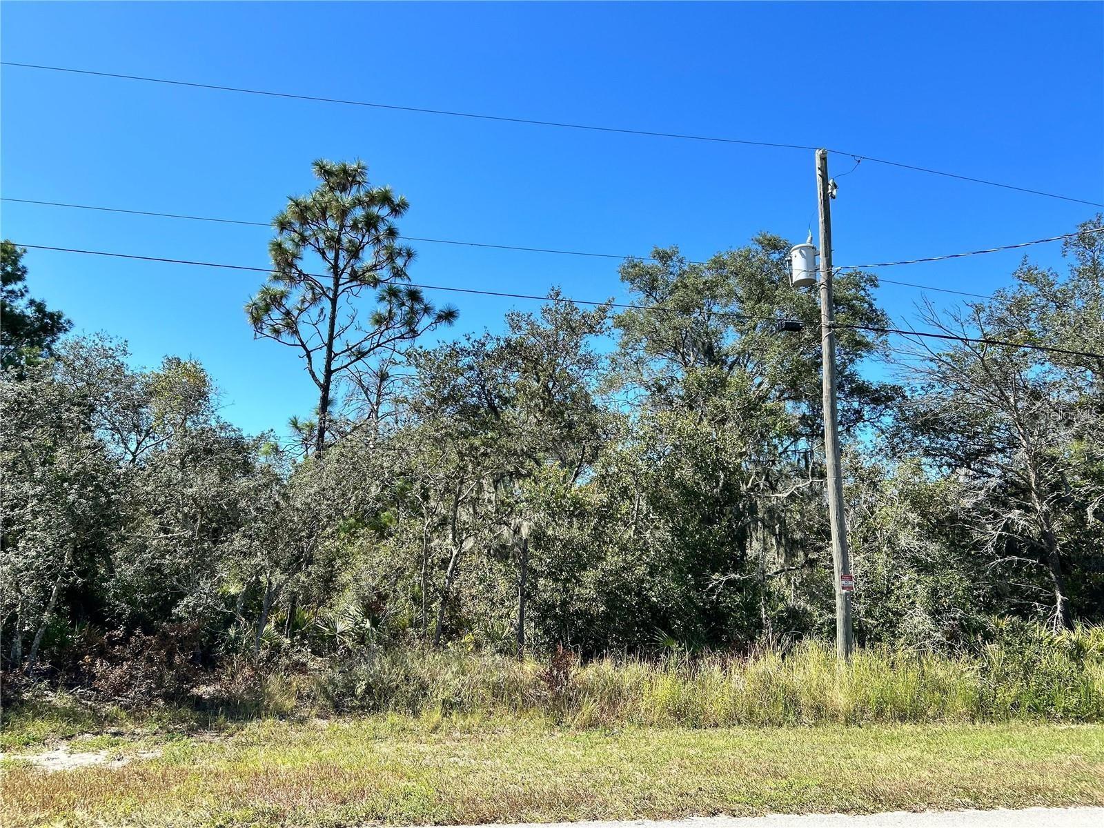 WOODSTORK WAY, FROSTPROOF, FL — photo 15