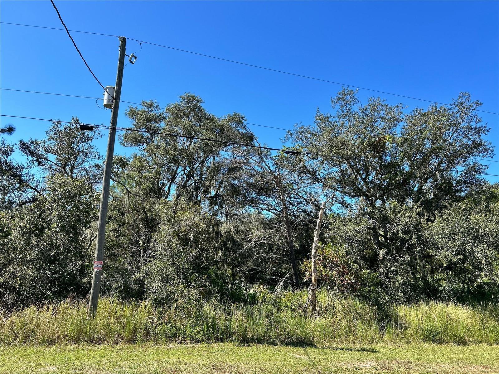 WOODSTORK WAY, FROSTPROOF, FL — photo 16