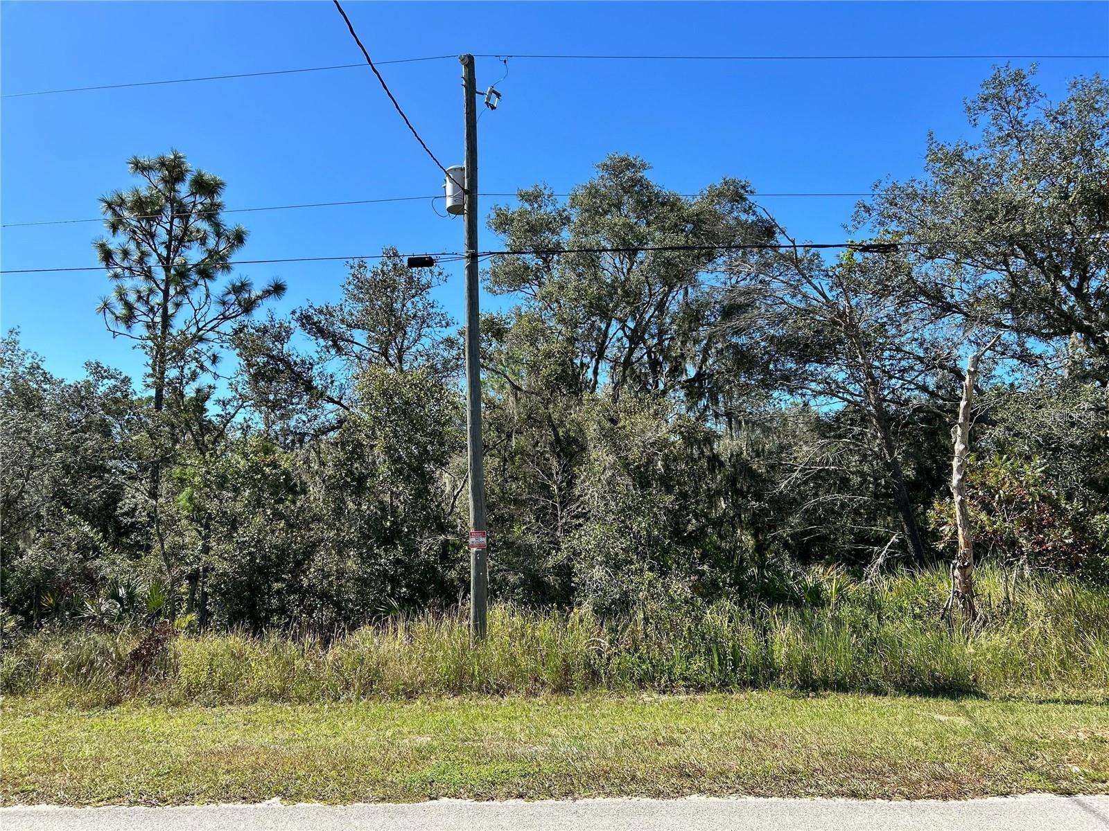 WOODSTORK WAY, FROSTPROOF, FL — photo 19