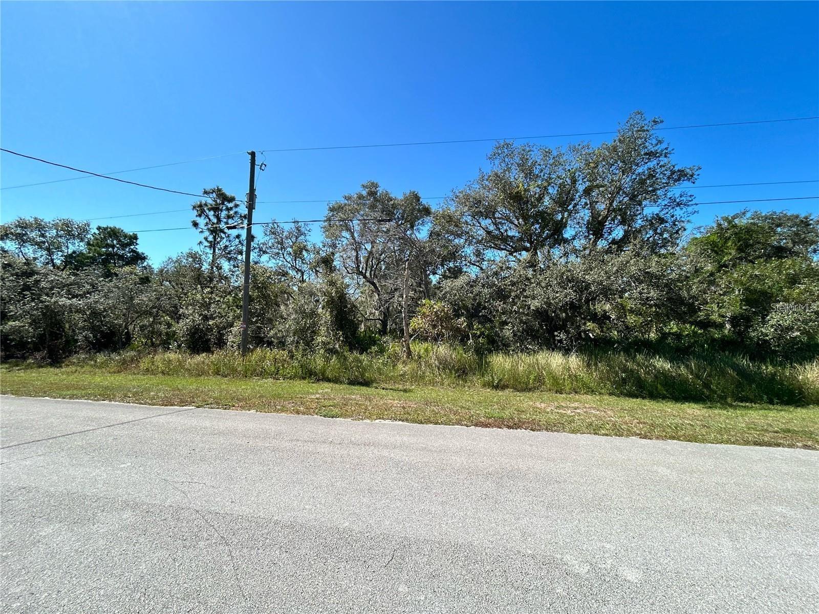 WOODSTORK WAY, FROSTPROOF, FL — photo 3