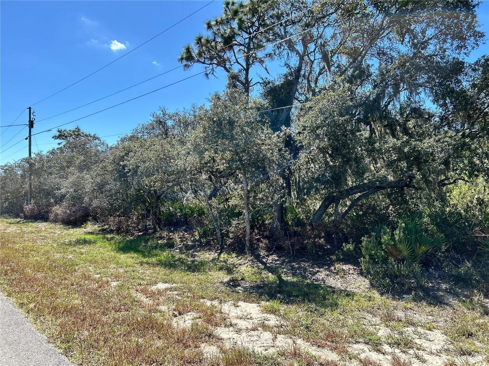 WOODSTORK WAY, FROSTPROOF, FL — photo 4
