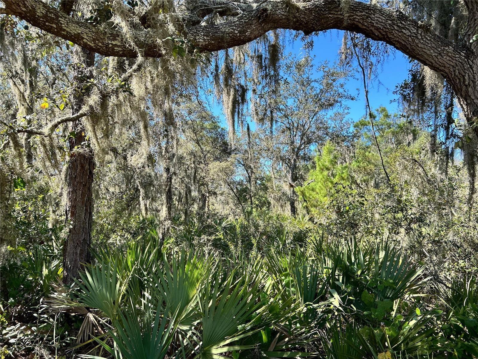 WOODSTORK WAY, FROSTPROOF, FL — photo 5