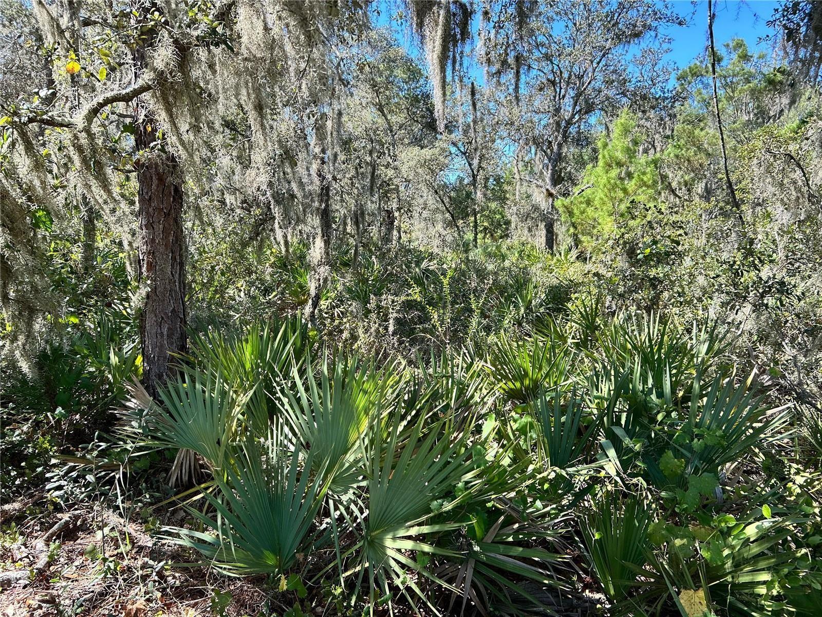 WOODSTORK WAY, FROSTPROOF, FL — photo 6