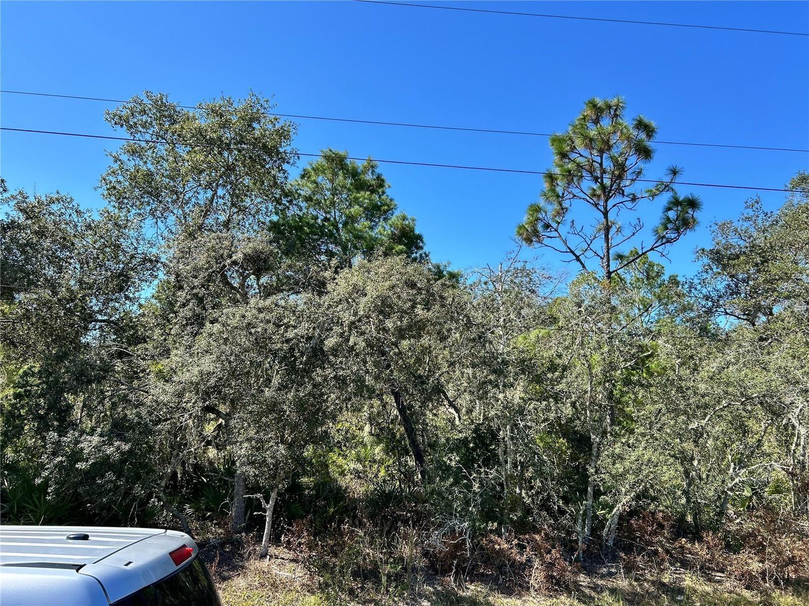 WOODSTORK WAY, FROSTPROOF, FL — photo 8