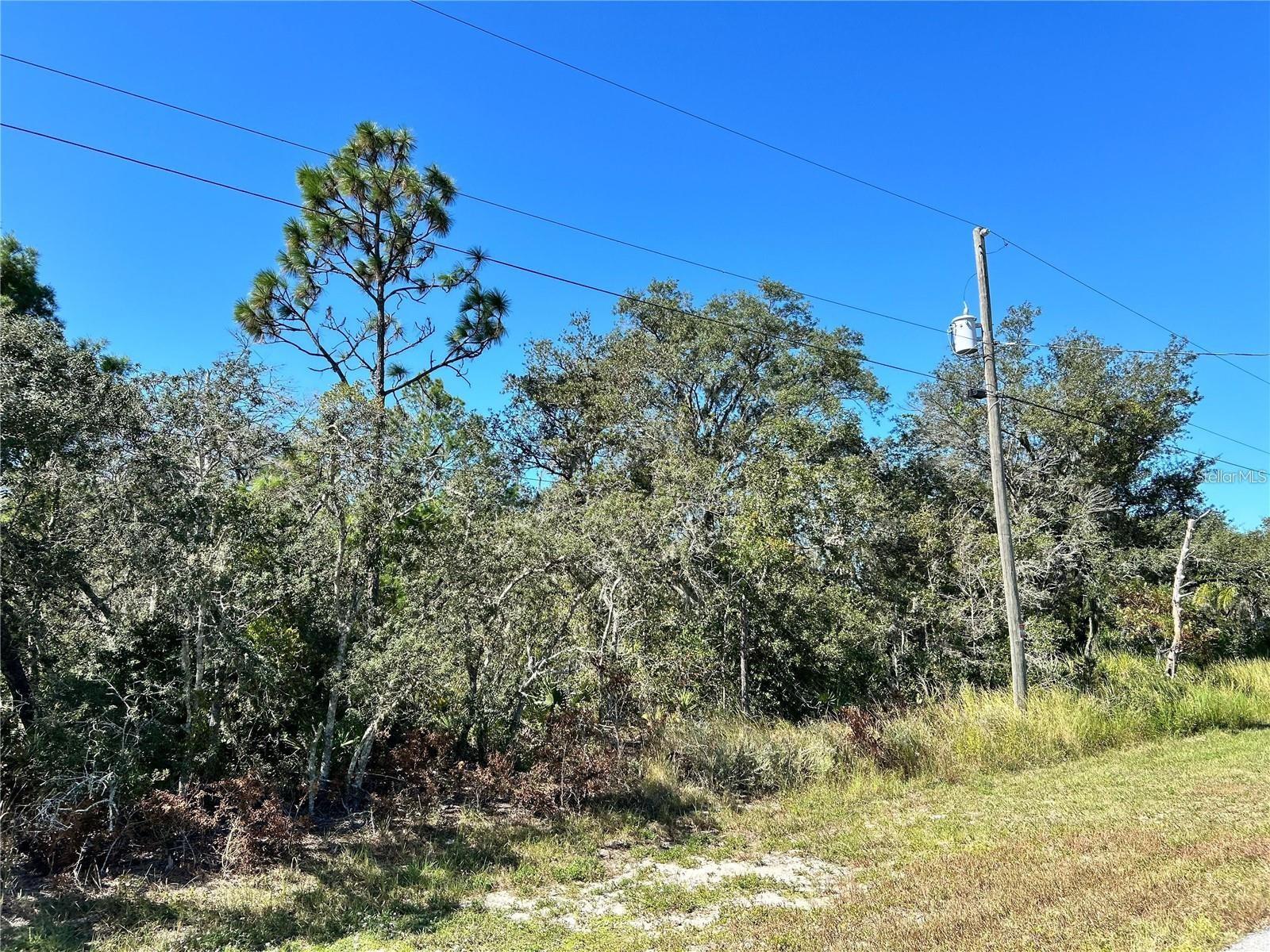 WOODSTORK WAY, FROSTPROOF, FL — photo 9