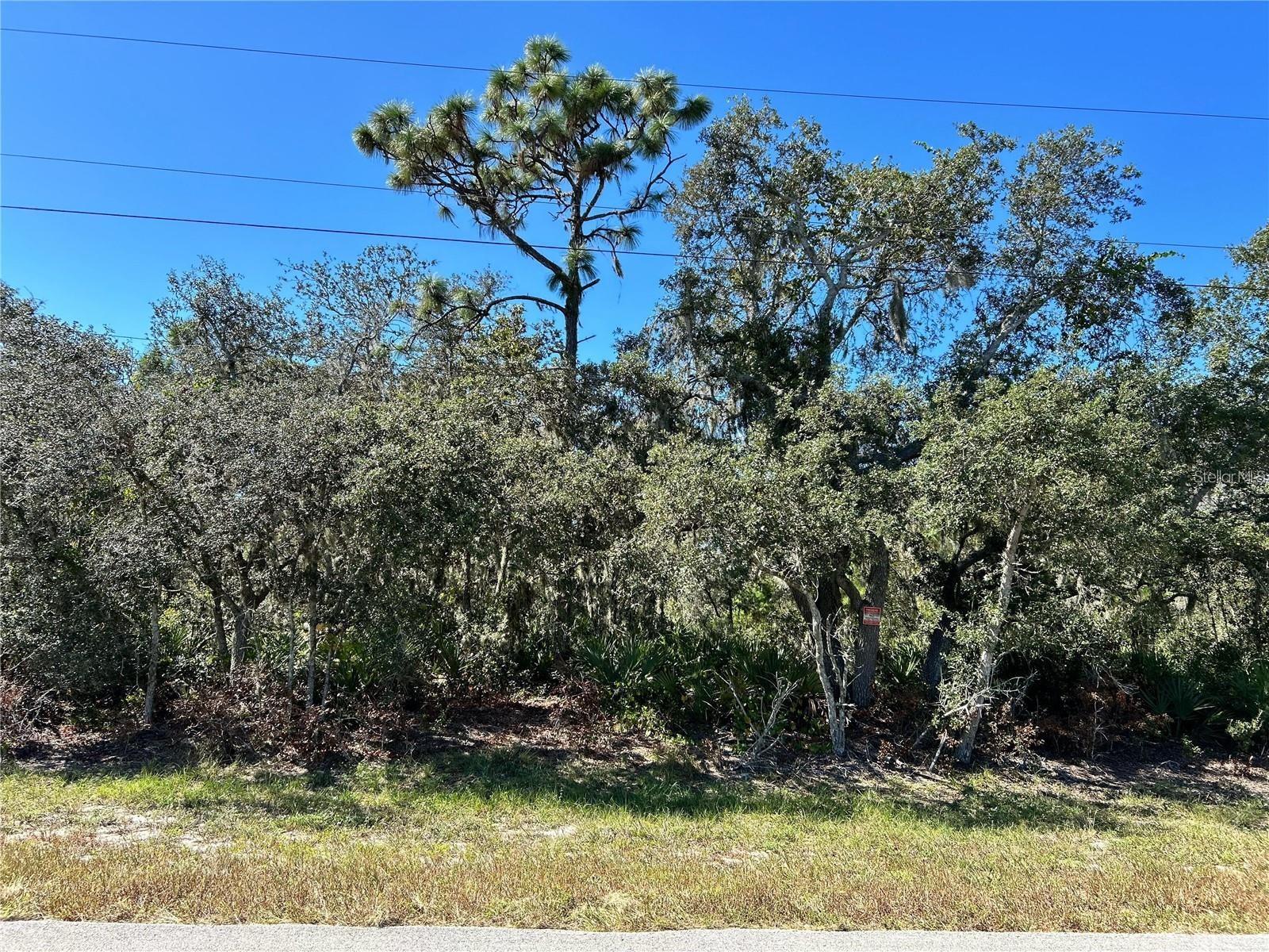 WOODSTORK WAY, FROSTPROOF, FL — photo 11
