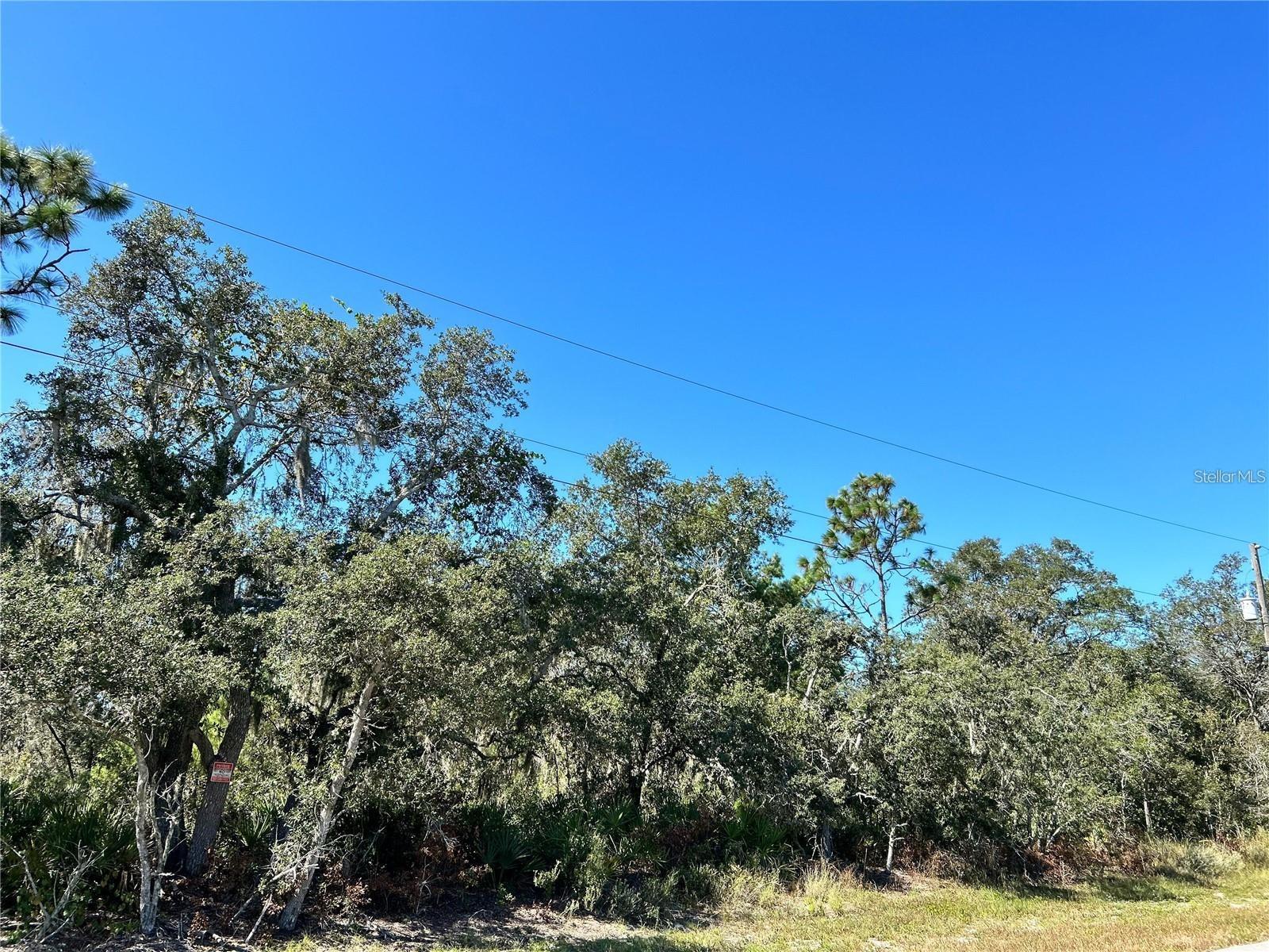 WOODSTORK WAY, FROSTPROOF, FL — photo 14