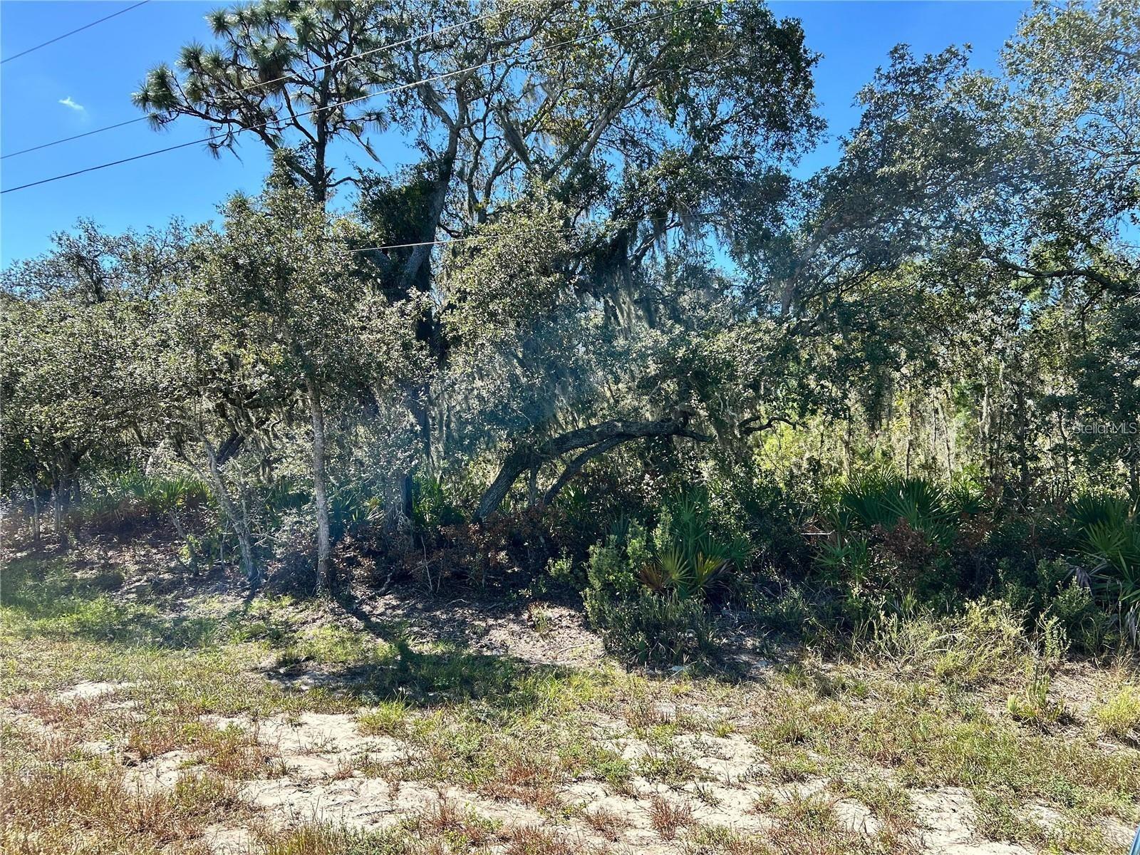 WOODSTORK WAY, FROSTPROOF, FL — photo 2