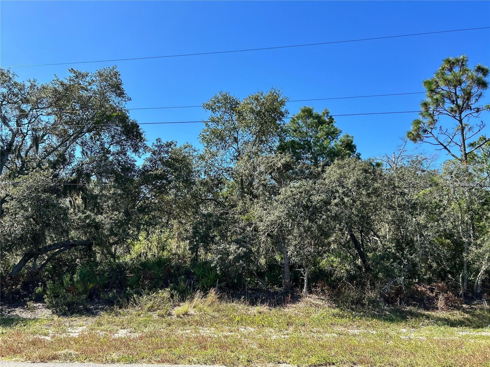WOODSTORK WAY, FROSTPROOF, FL — photo 14