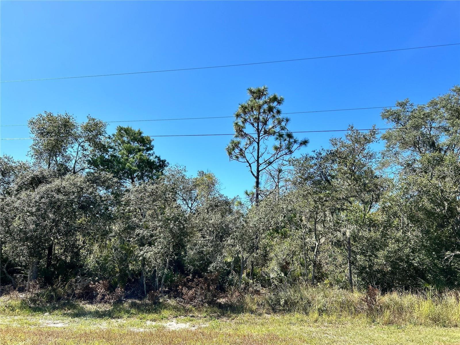 WOODSTORK WAY, FROSTPROOF, FL — photo 16
