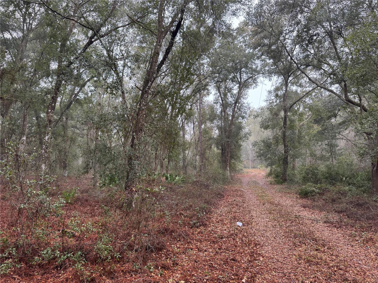 2795 SE 21ST AVE, SUMTERVILLE, FL — photo 2