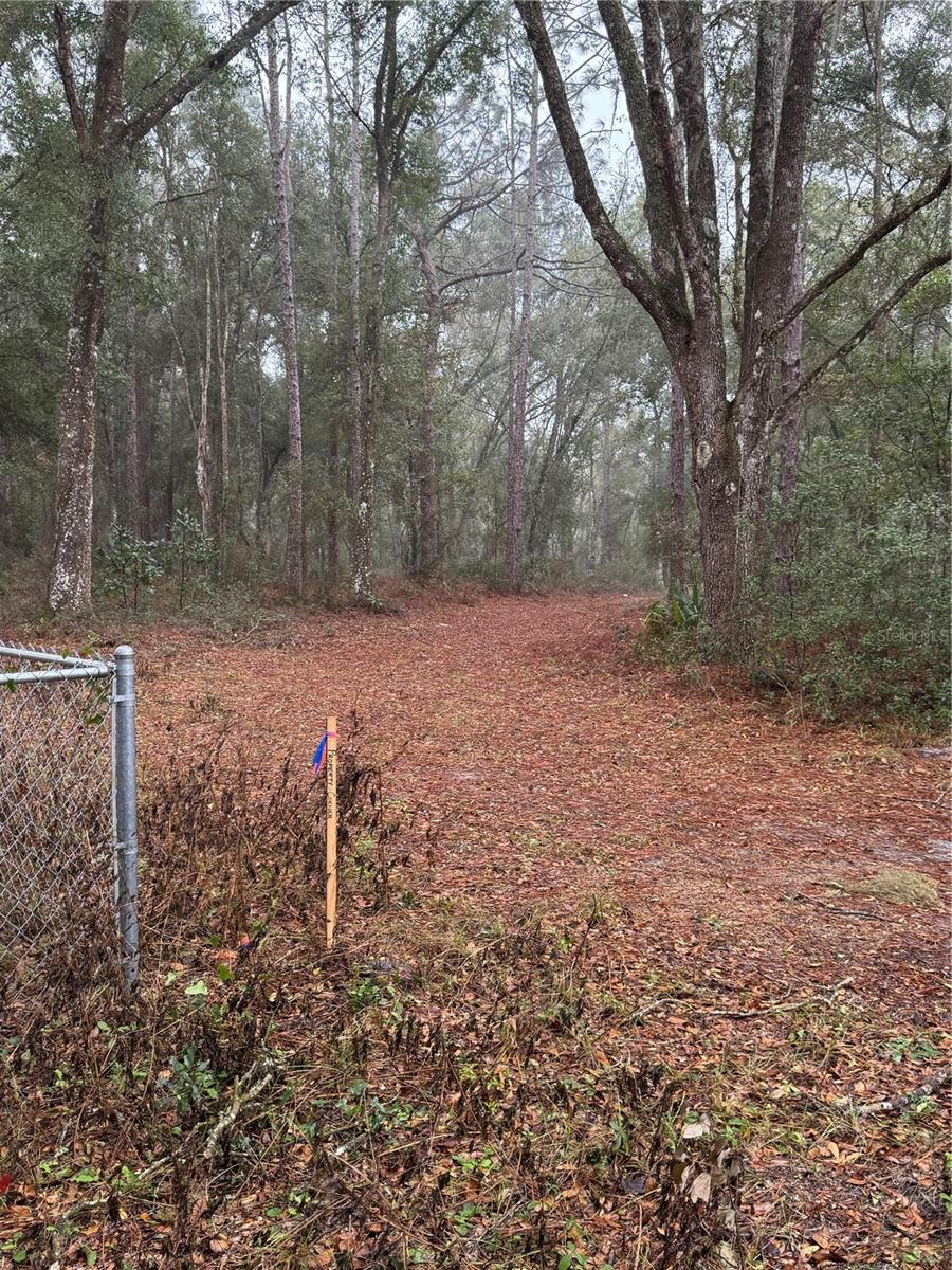 2795 SE 21ST AVE, SUMTERVILLE, FL — photo 4