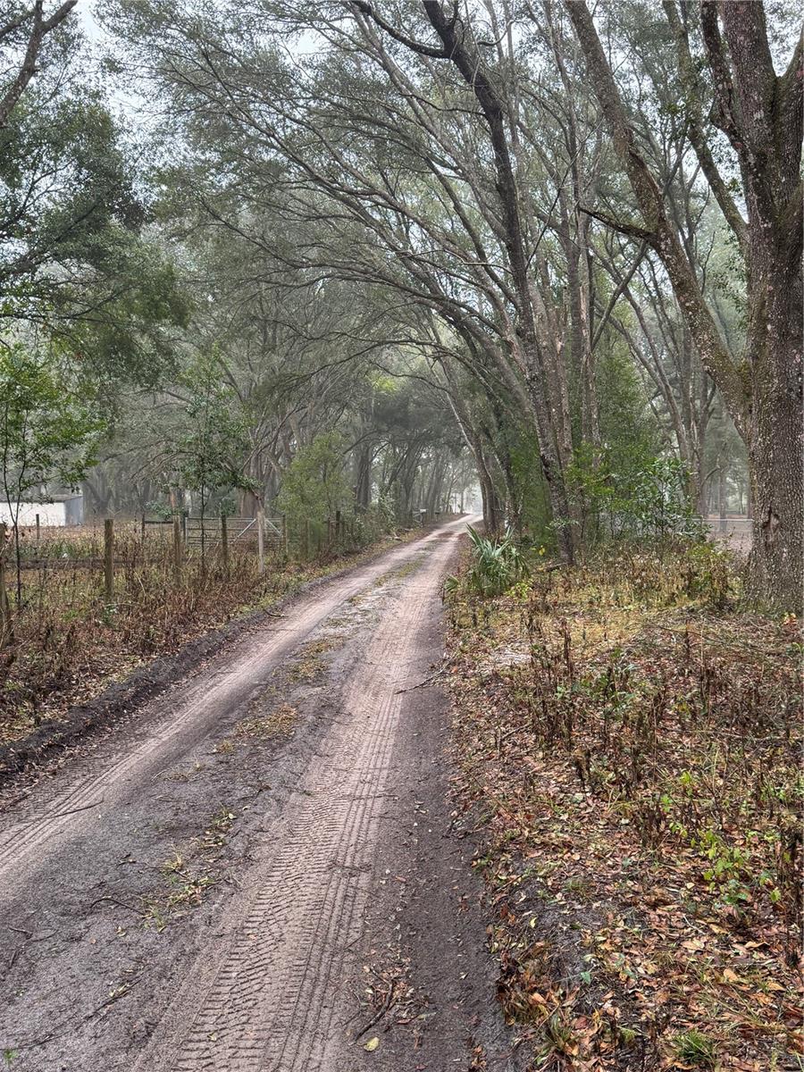 2795 SE 21ST AVE, SUMTERVILLE, FL — photo 5