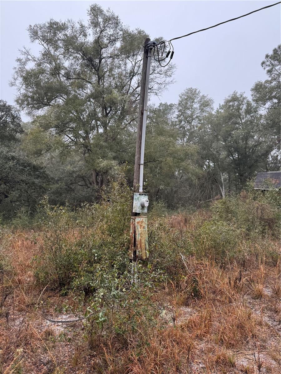 2795 SE 21ST AVE, SUMTERVILLE, FL — photo 9